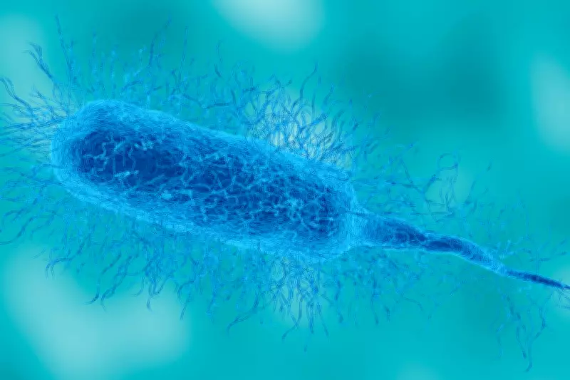 Rise in Flesh-Eating Bacteria Infections Prompts Warning Ahead of Summer