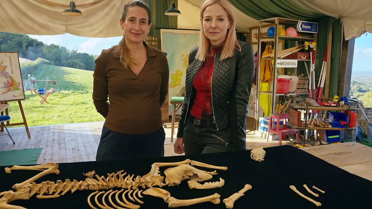 Roman Coastline Unearthed in East Yorkshire Field