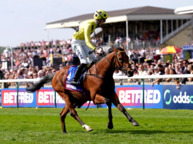 Royal Ascot 2026: Bow Echo Ready for St James's Palace Stakes