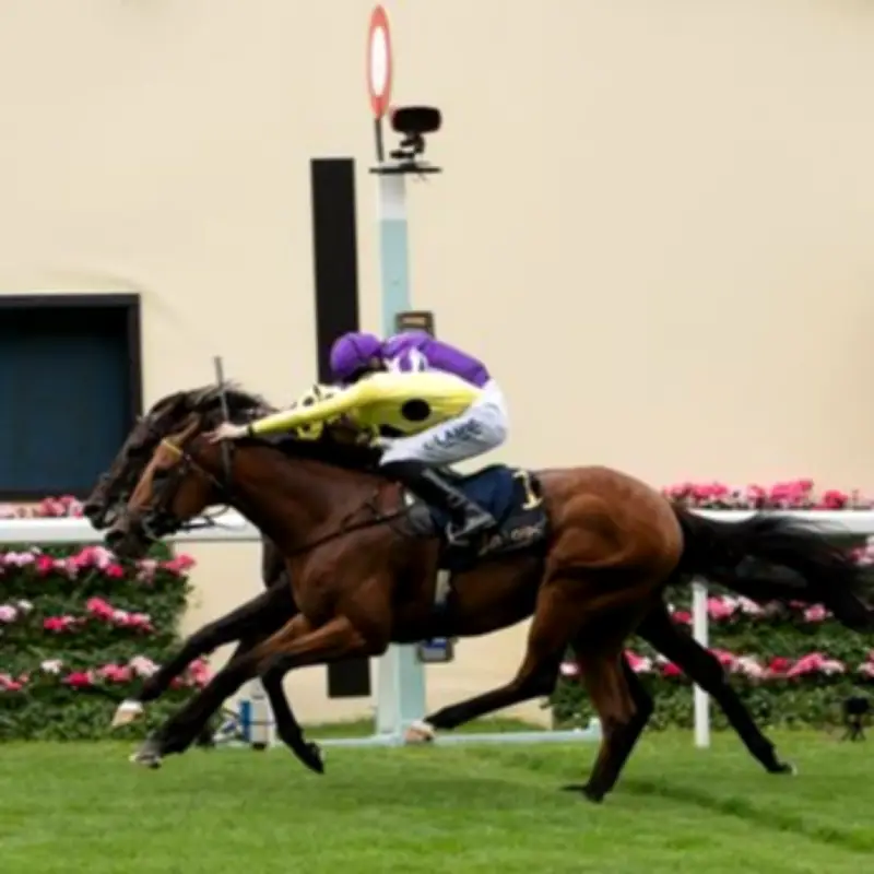 Royal Ascot 2026 Day One Results: Bow Echo Wins St James's Palace Stakes