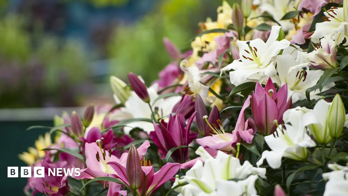 Chelsea Flower Show: A Century of Blooms on a Tiny Patch of London