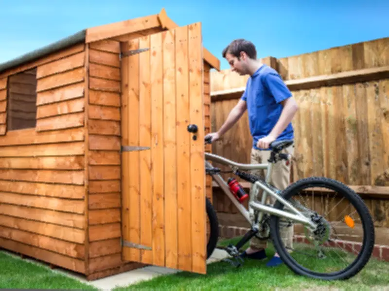 RSPCA Urges Gardeners to Check Sheds and Greenhouses for Trapped Cats