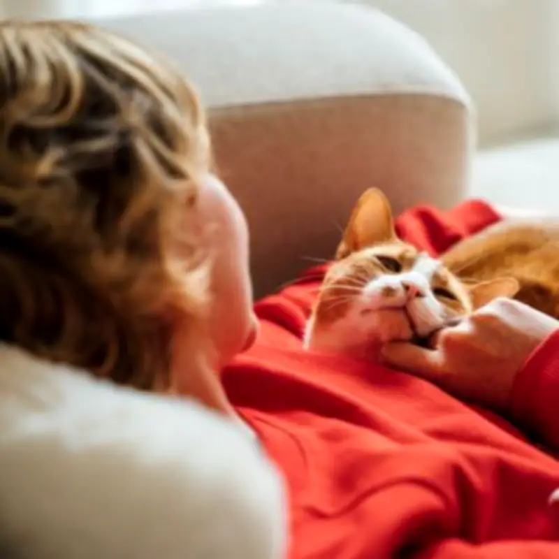 RSPCA Urges Public to Join June 15 Campaign for Animals in Need
