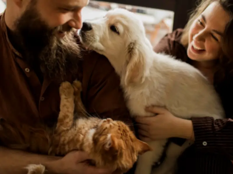 RSPCA Urges UK Residents to Join RSPCA Week from June 15