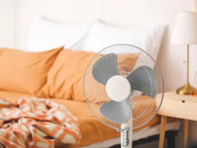 Running an Electric Fan All Night in UK Heatwave Costs Just Pennies