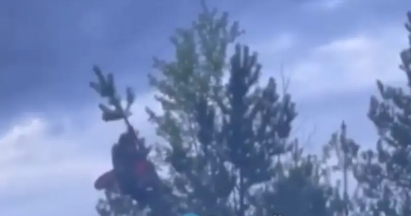 Russian Falls From Pine Tree While Trying to Hoist Soviet Flag