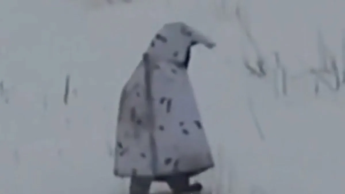 Bungling Russian Soldier in Penguin Costume Killed by Ukrainian Drone