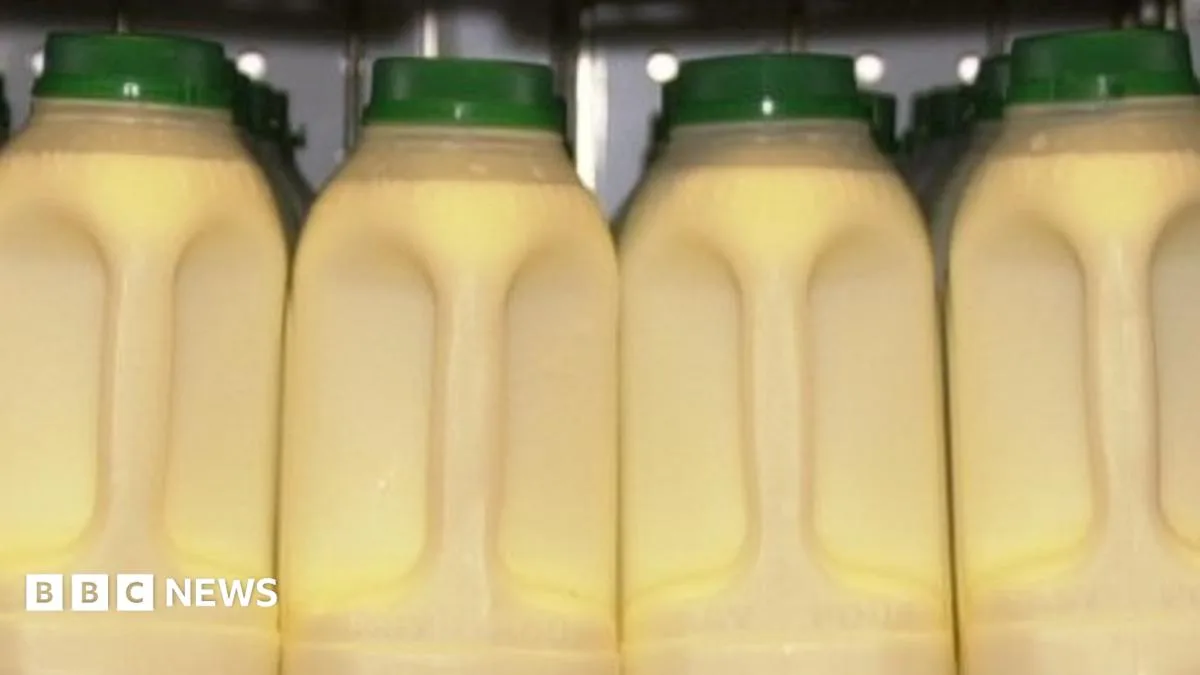 Sainsbury's Stocks Rival Tesco Milk By Mistake