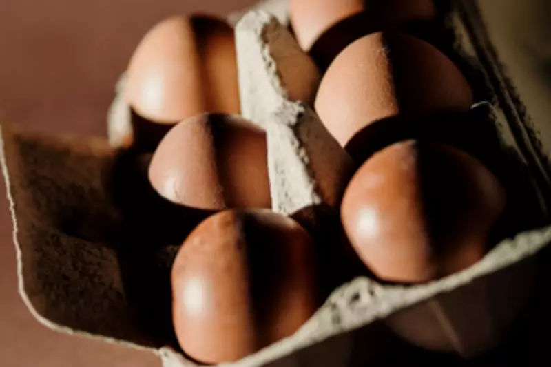 Sainsbury's to Stop Selling Brown Eggs in Net Zero Push