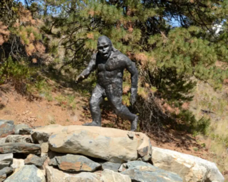 Sasquatch Sightings in Rural Ontario Reignite Debate Over Ape-Like Beast