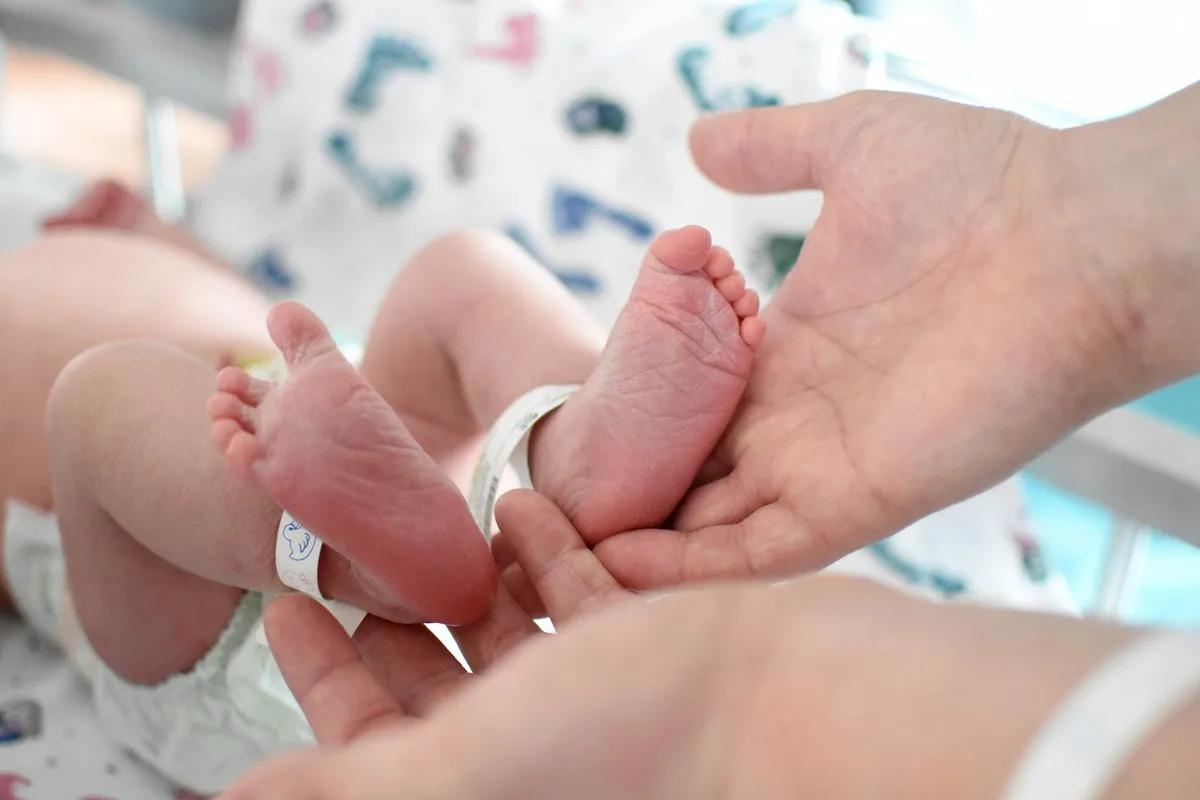 Identical Twin Paternity Case Leaves Court Unable to Determine Father