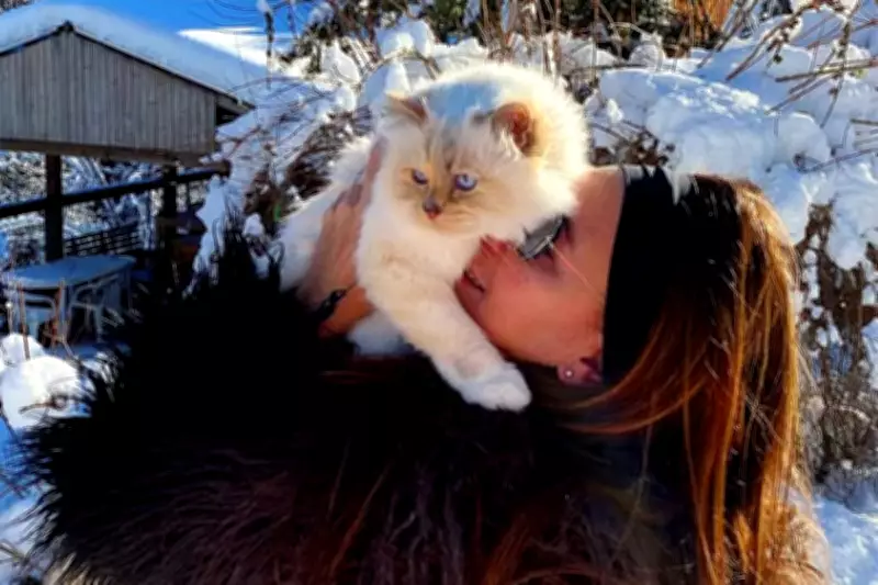 Scientists Confirm Your Pet Is Basically Another Child
