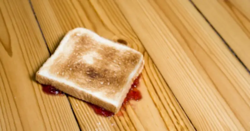Scientists Finally Settle Debate on Five-Second Rule for Dropped Food