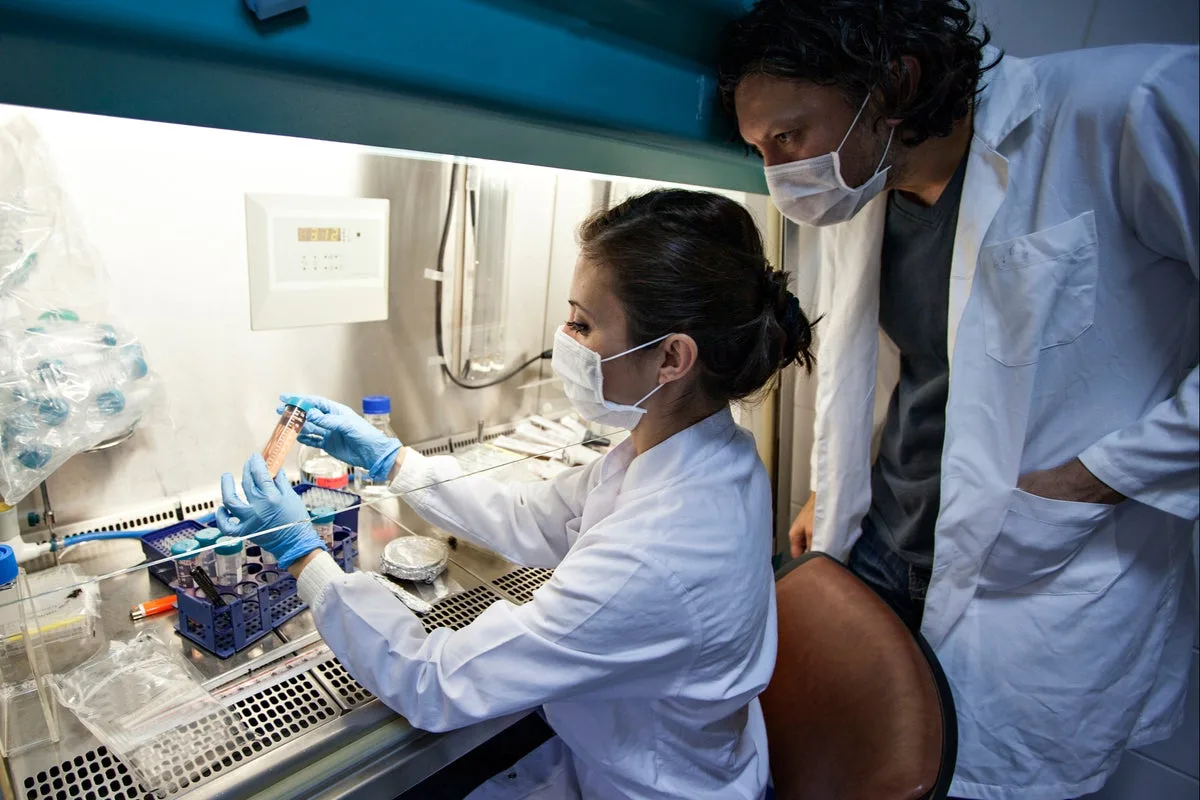 Crohn's Disease Scarring Trigger Identified by Scientists
