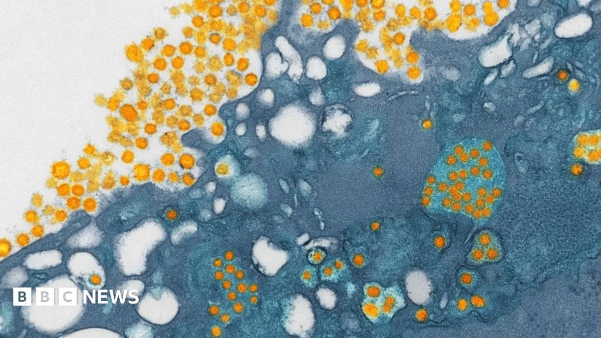 Scientists Identify 37 Viruses with Pandemic Potential
