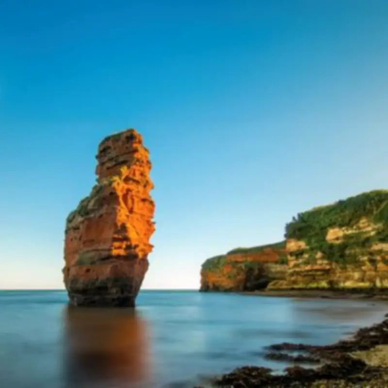 Seagull Steals Sausages: Family Holiday Chaos at Ladram Bay