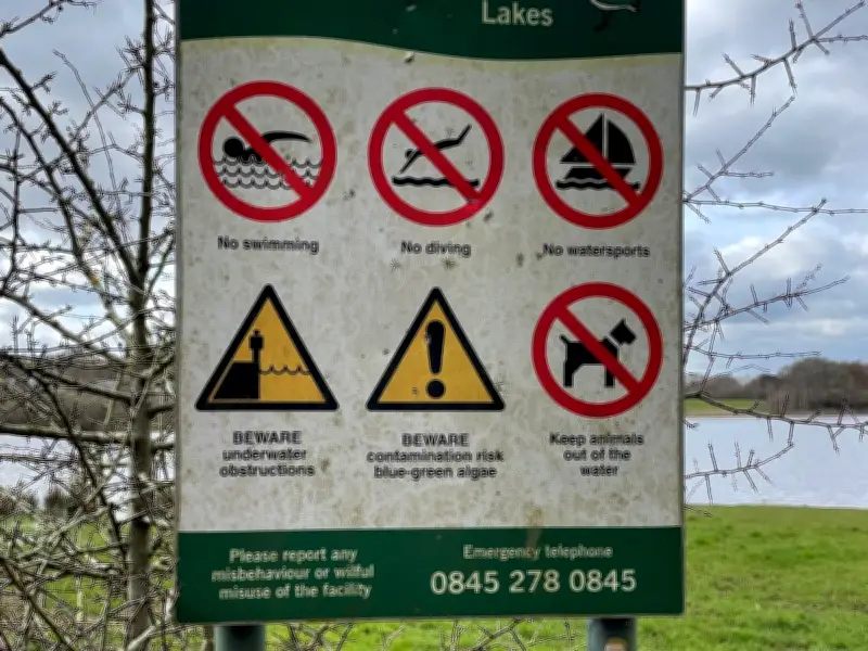 Search for missing 15-year-old boy after swimming at Testwood Lakes
