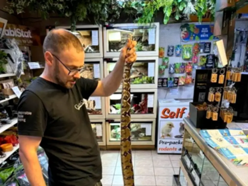 Second Six-Foot Snake Found on UK Golf Course Raises Dumping Fears