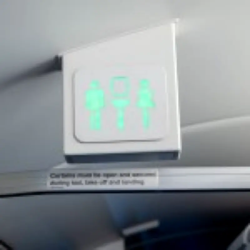 Secret Cupboard in Plane Toilets Revealed: What's Inside