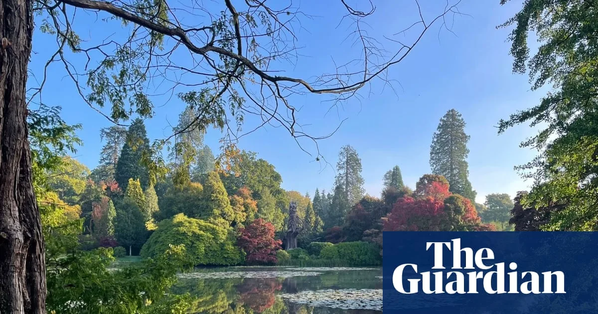 Spectacular Autumn Colour Predicted Across UK Gardens