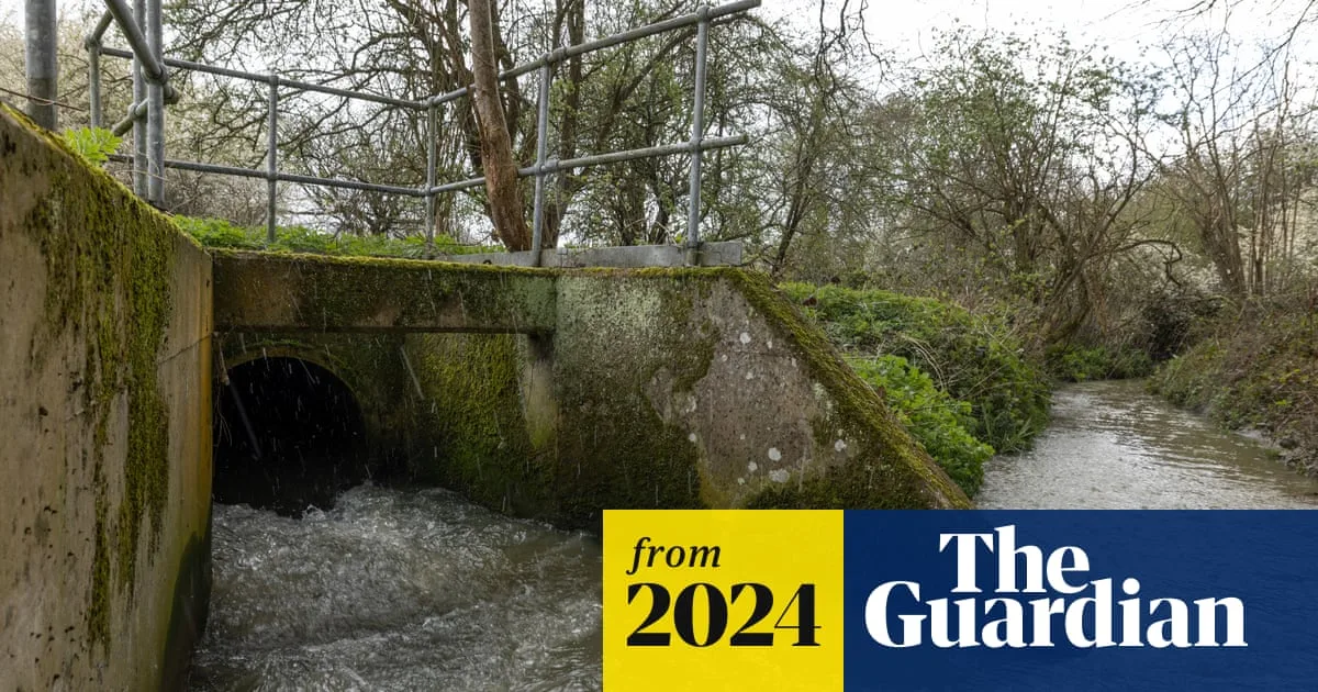 Record Sewage Spills Spark Calls for National Environmental Emergency