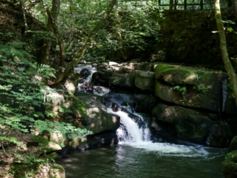Shady Woodland Walk with Waterfalls in Greater Manchester