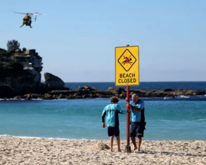 Shark Attack at Sydney's Coogee Beach: How Rare Is It and How to Stay Safe