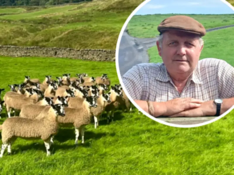 Sheep Association Fears 'Nightmare' Over NE Mayoral Authority Rebrand