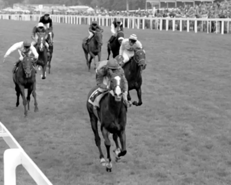 Shergar's Legacy Lives On: Daryz Aims for Royal Ascot Glory in Aga Khan Colours