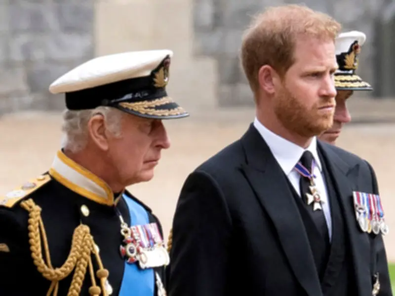 Should Harry and Meghan Meet Royal Family During UK Visit? Take Our Poll