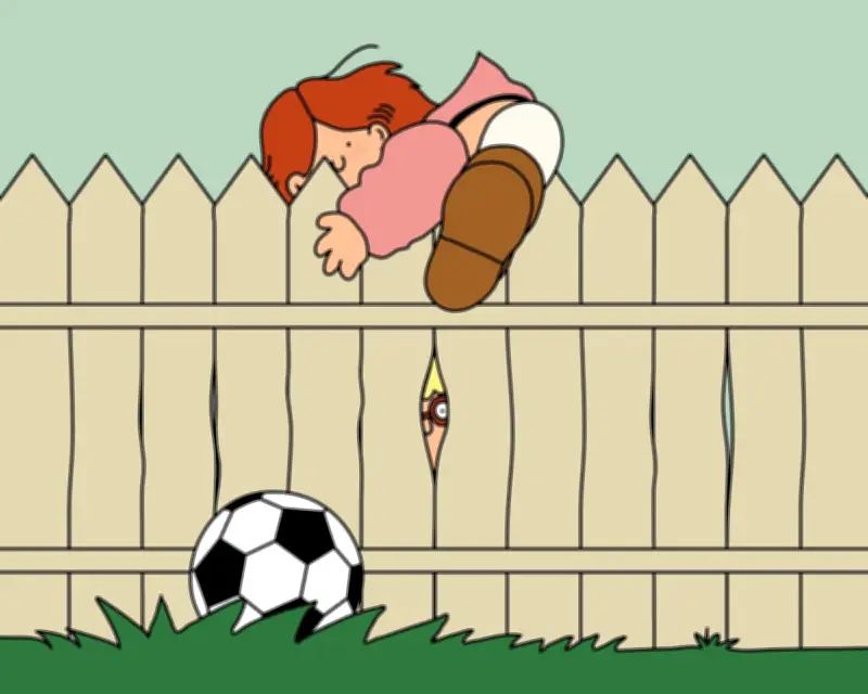 Should Kids Hop Neighbour's Fence for Ball? Jury Decides