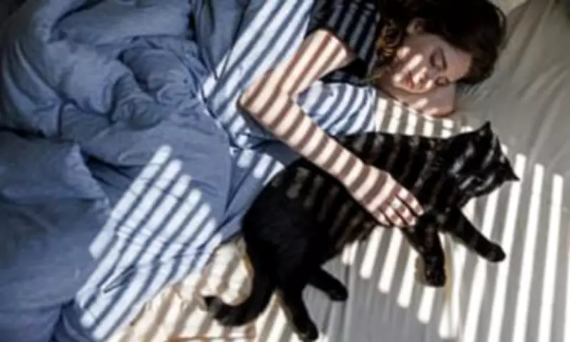 Should You Sleep with Your Pet? Experts Reveal the Risks and Benefits