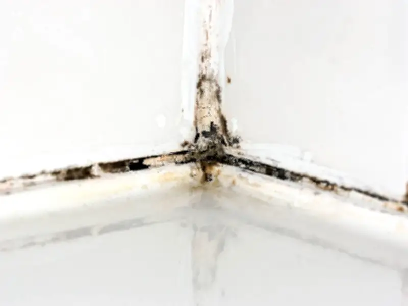 Shower Grout Mould Disappears in 1 Hour with 2 Non-Bleach Items