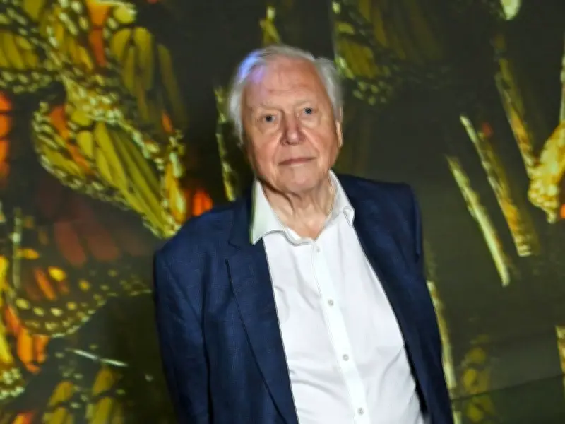 Sir David Attenborough's Quiet Richmond Life Where Homes Average £981k