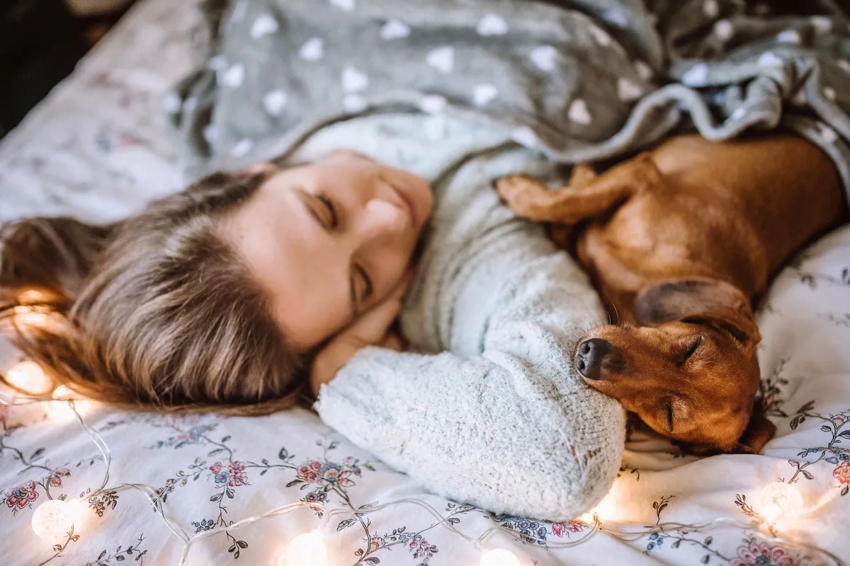 Sleeping With Your Dog May Harm Sleep Quality