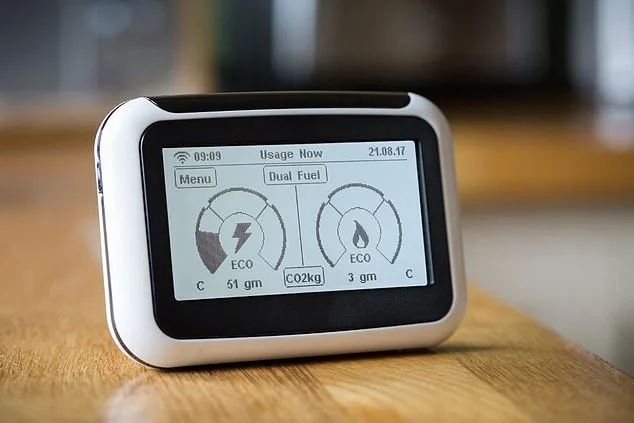Smart meter campaign group misled households over savings, watchdog rules