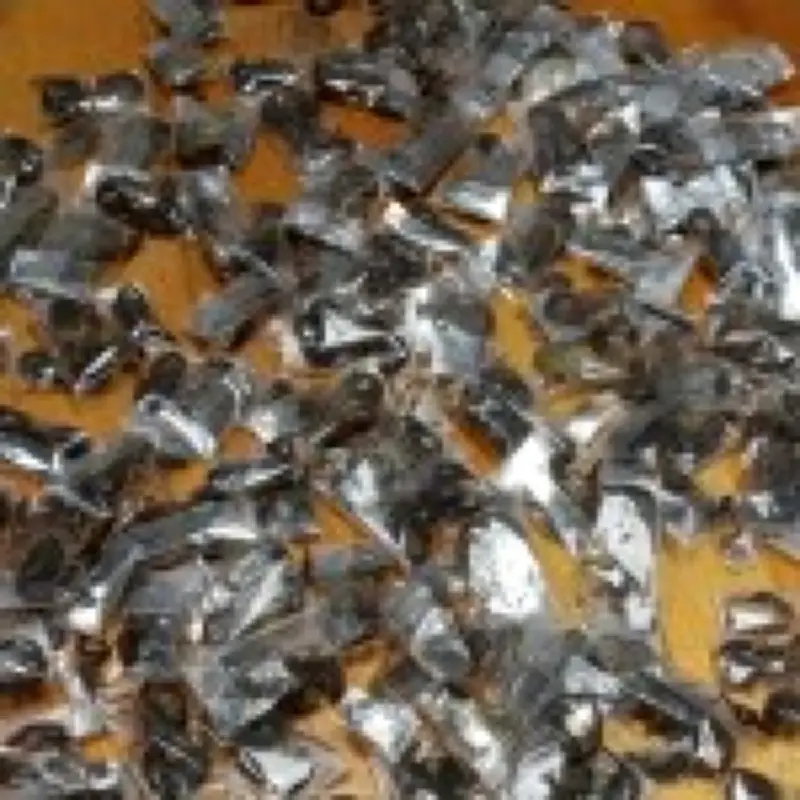 Smuggler Caught Trafficking 150 Venomous Scorpions at South African Airport