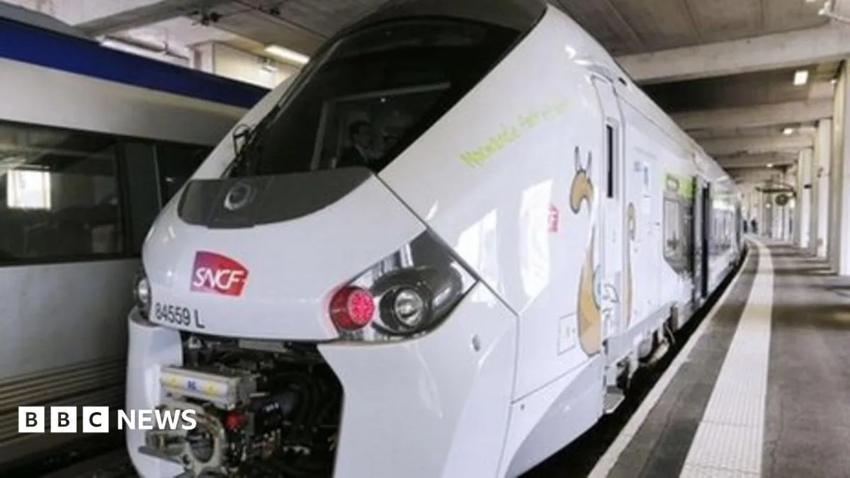 French Rail Blunder: New Trains Too Wide for Platforms