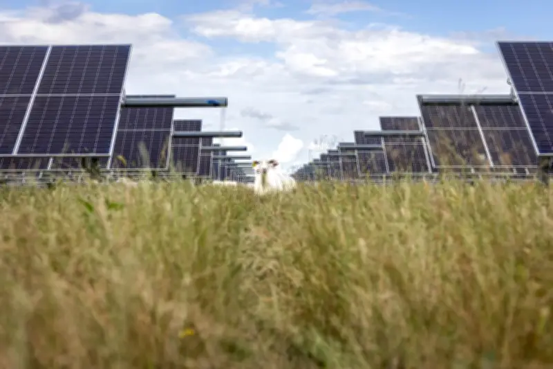 Solar Power Overtakes Coal in US Electricity Generation for First Time