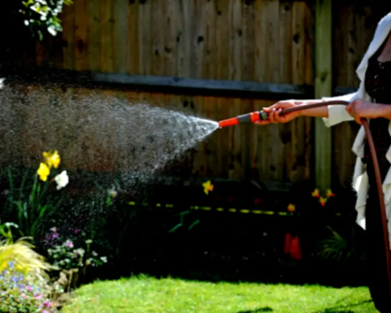 South East Water Imposes Hosepipe Ban Amid Heatwave Surge in Demand