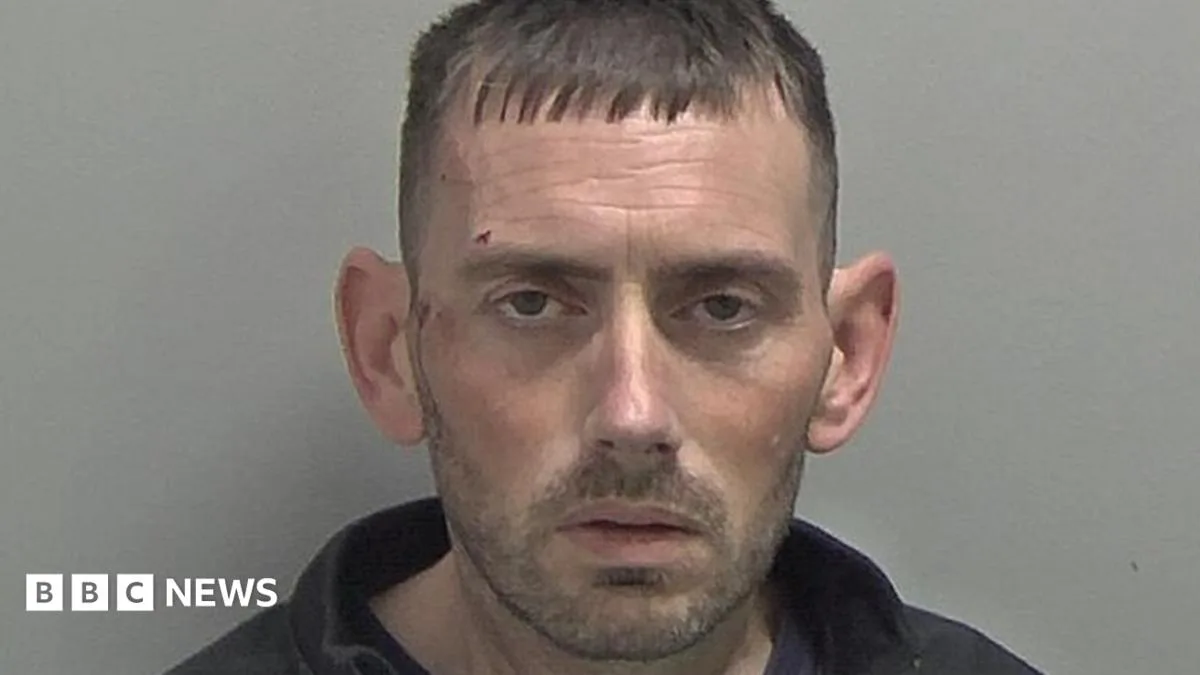 Banned Driver Jailed for Wrong-Way Pursuit in Stolen Van