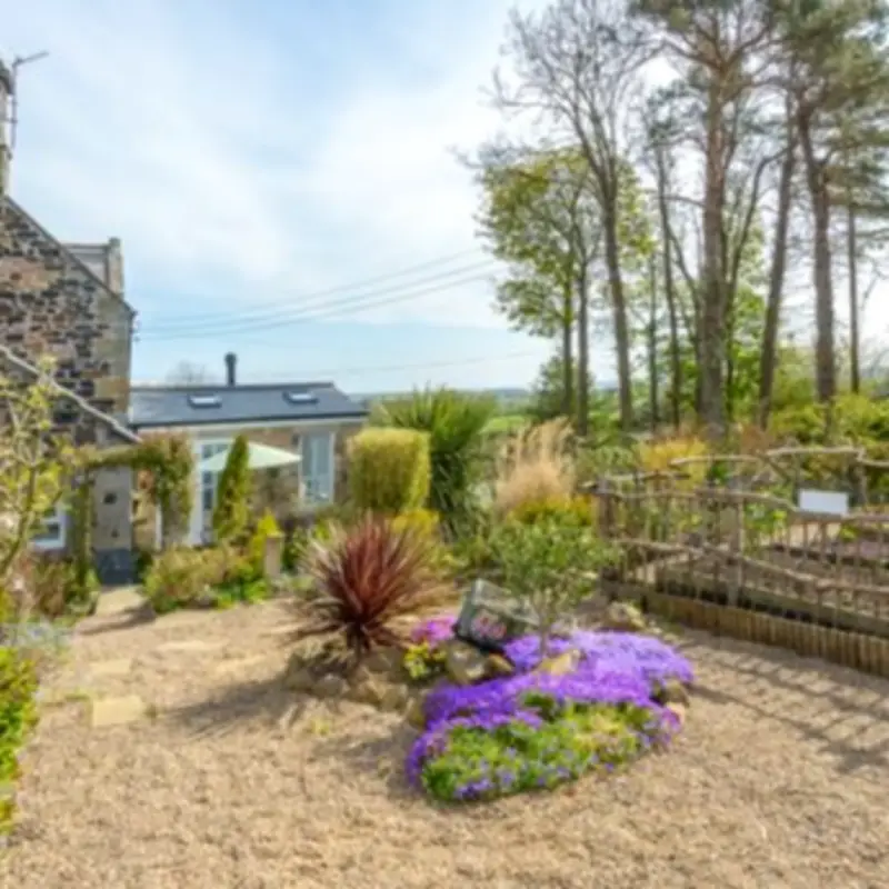 'Spellbinding' Northumberland Hideaway with Woodland Views and Red Squirrels