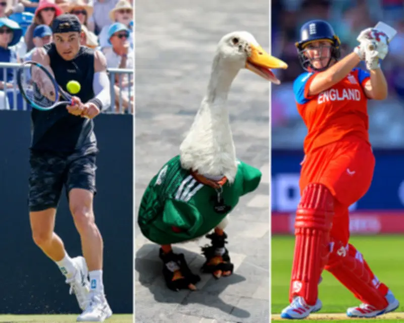 Sports Quiz: Heat, Animals, Money, and World Cup Action