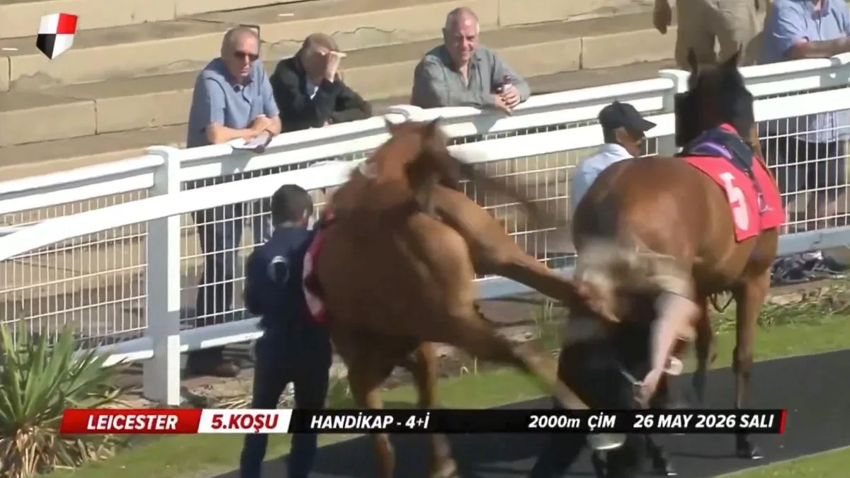 Stable Groom Kicked By Horse At Redcar Racecourse