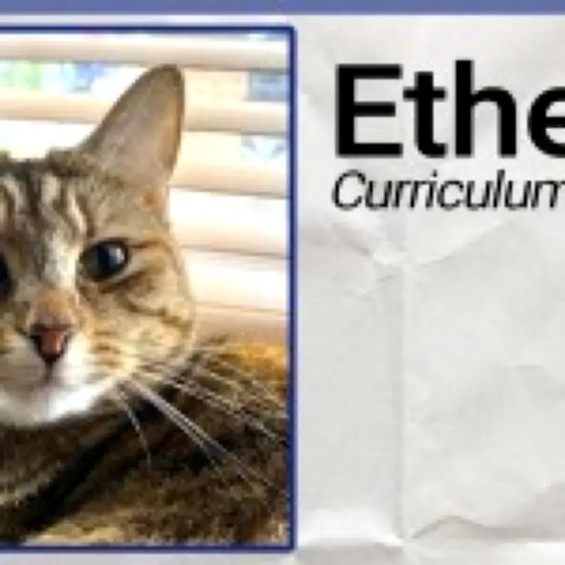 Starmer's AI chatbot writes CV for pet cat, says she's employable
