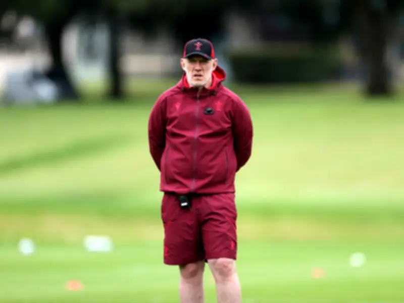 Steve Tandy Q&A: Jac Morgan's return boosts Wales before Barbarians Test