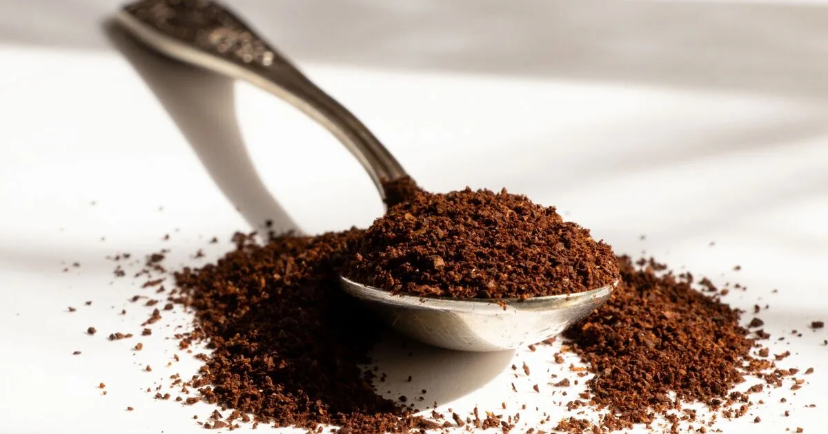 Don't Throw Away Coffee Grounds, Say BBC Garden Experts