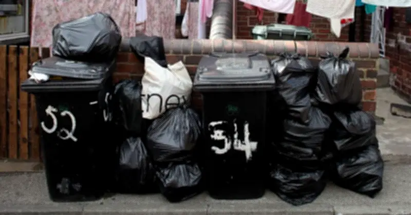 Stop Bin Smells in Hot Weather with One Household Item