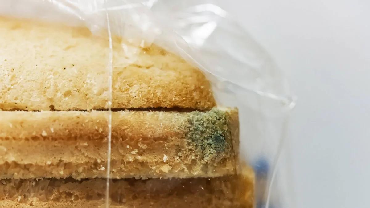 Stop Storing Bread In Plastic To Prevent Mould, Expert Advises