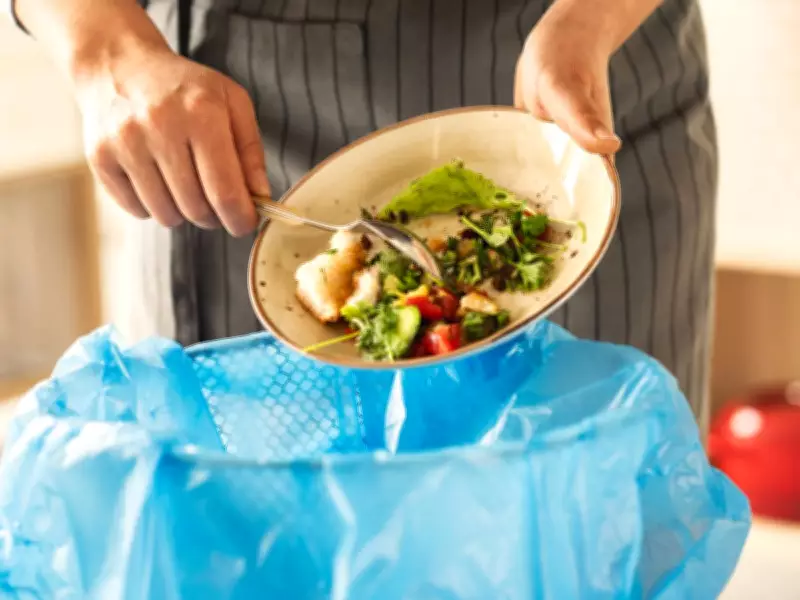 Stop These Two Food Bin Mistakes to Avoid Maggots and Smells